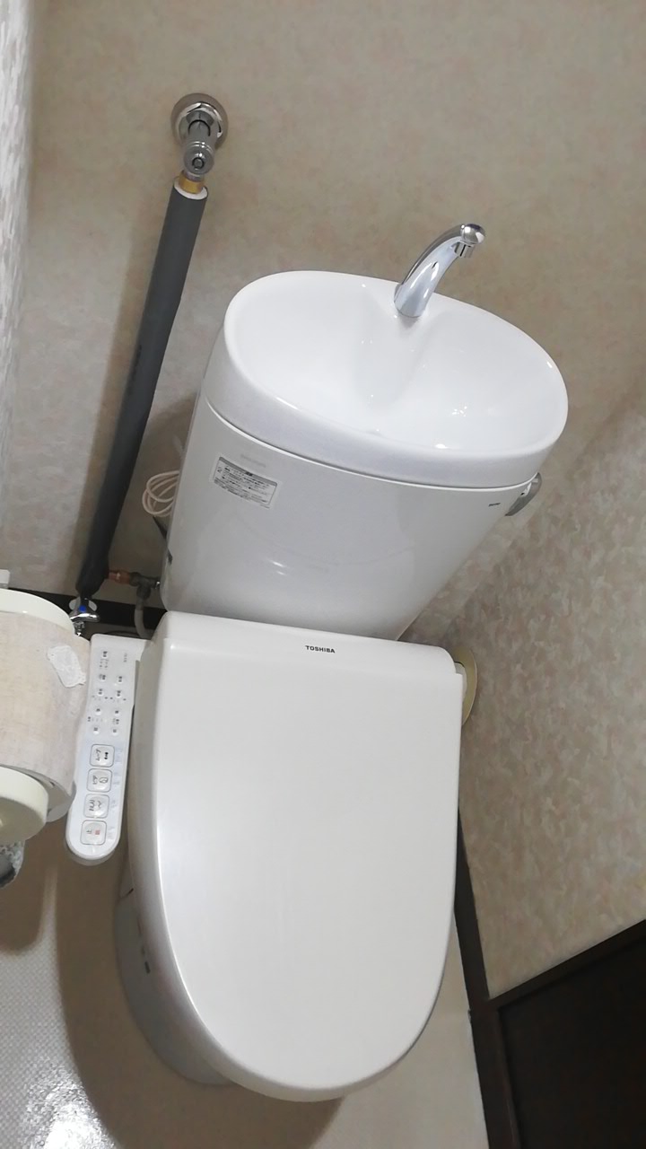 11トイレ交換③
