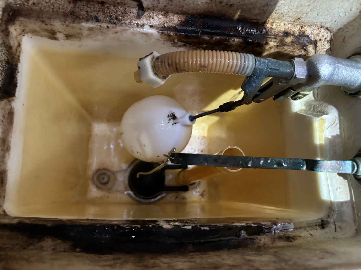 苫小牧市三光町_トイレ部品交換作業